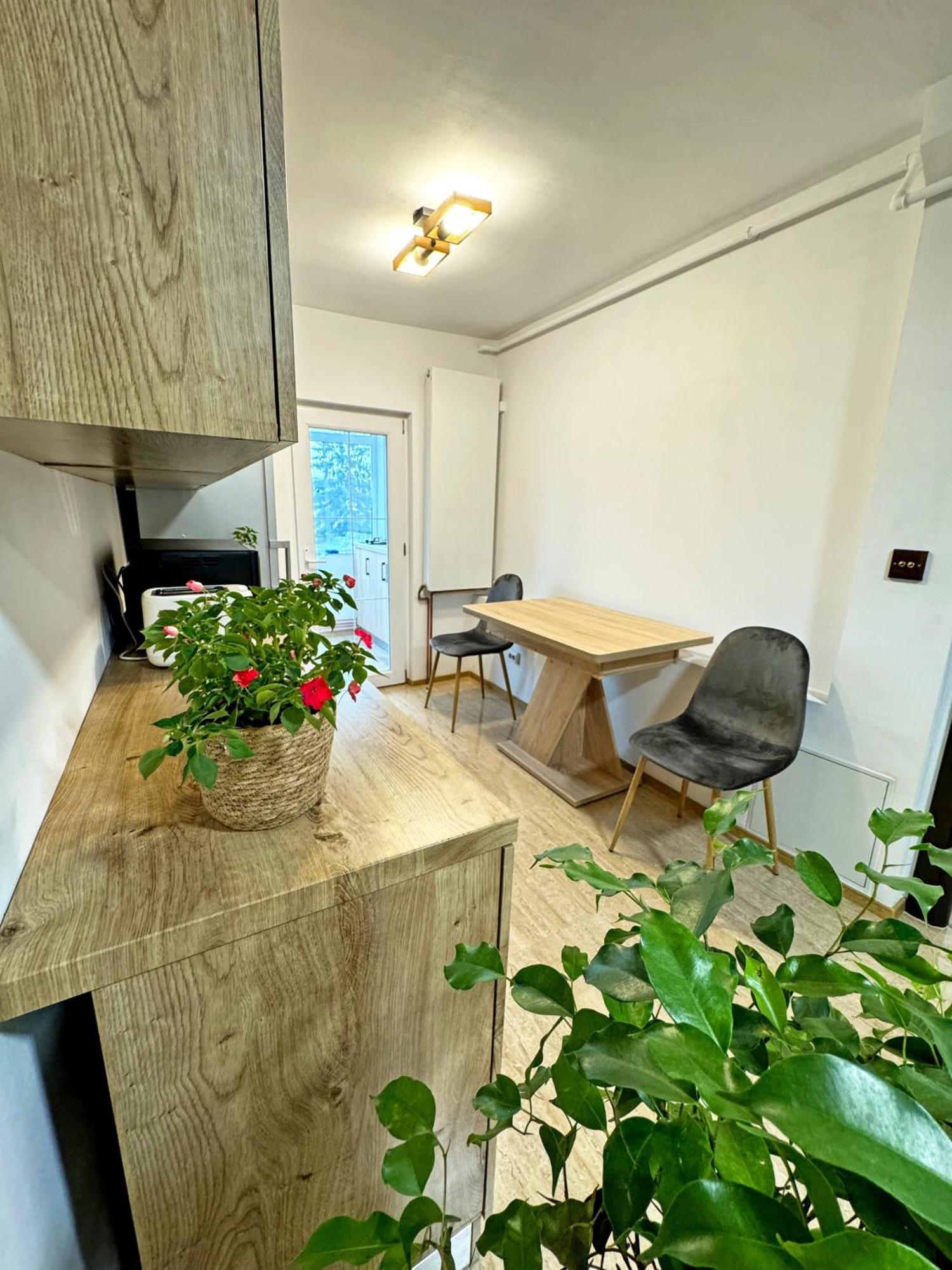 Ultracentral Apartment Târgu Jiu 외부 사진